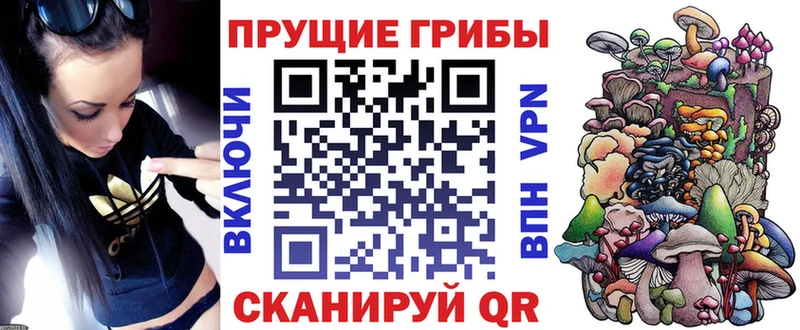 дарнет шоп  Спасск-Рязанский  Галлюциногенные грибы GOLDEN TEACHER 